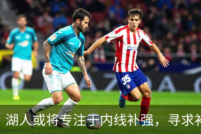 湖人或将专注于内线补强，寻求补充替补大个子
